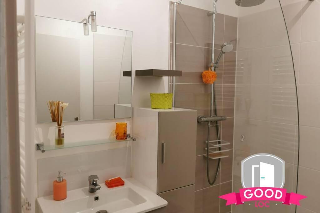 Apartamento Le Micy - Joli T2 + Parking Orléans Exterior foto