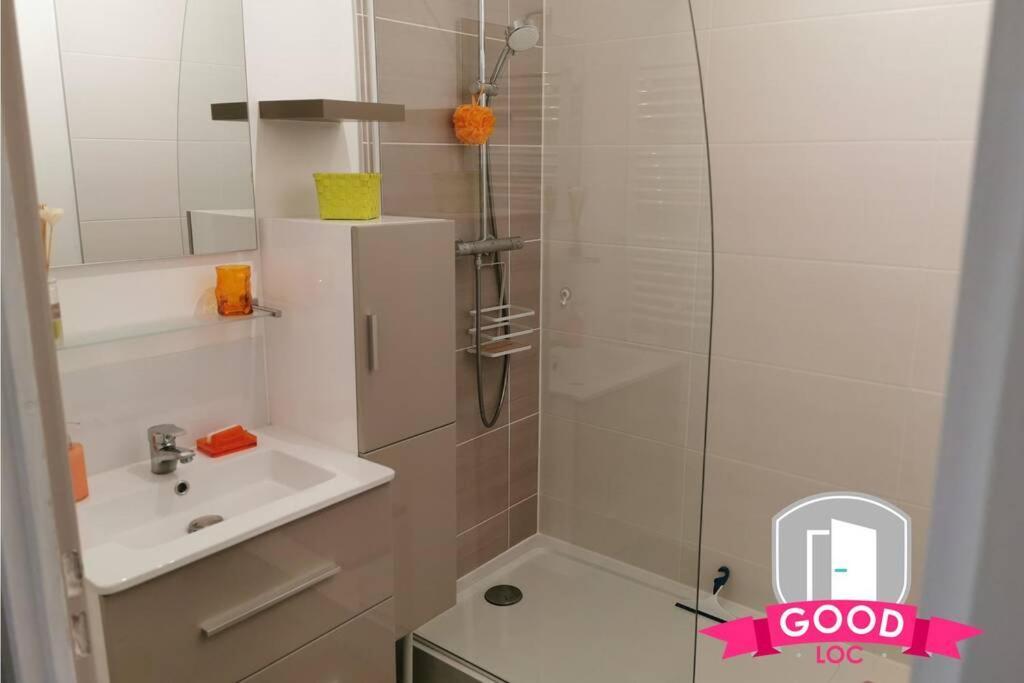 Apartamento Le Micy - Joli T2 + Parking Orléans Exterior foto