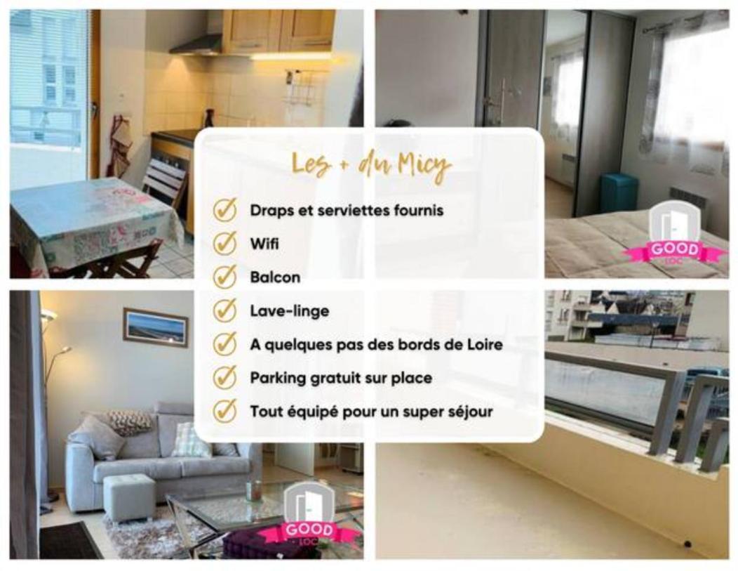 Apartamento Le Micy - Joli T2 + Parking Orléans Exterior foto